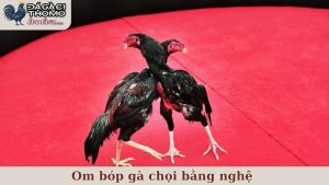 om bóp gà chọi bằng nghệ